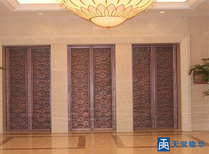 实板艺术铜门 (13)