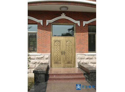 实板艺术铜门 (6)